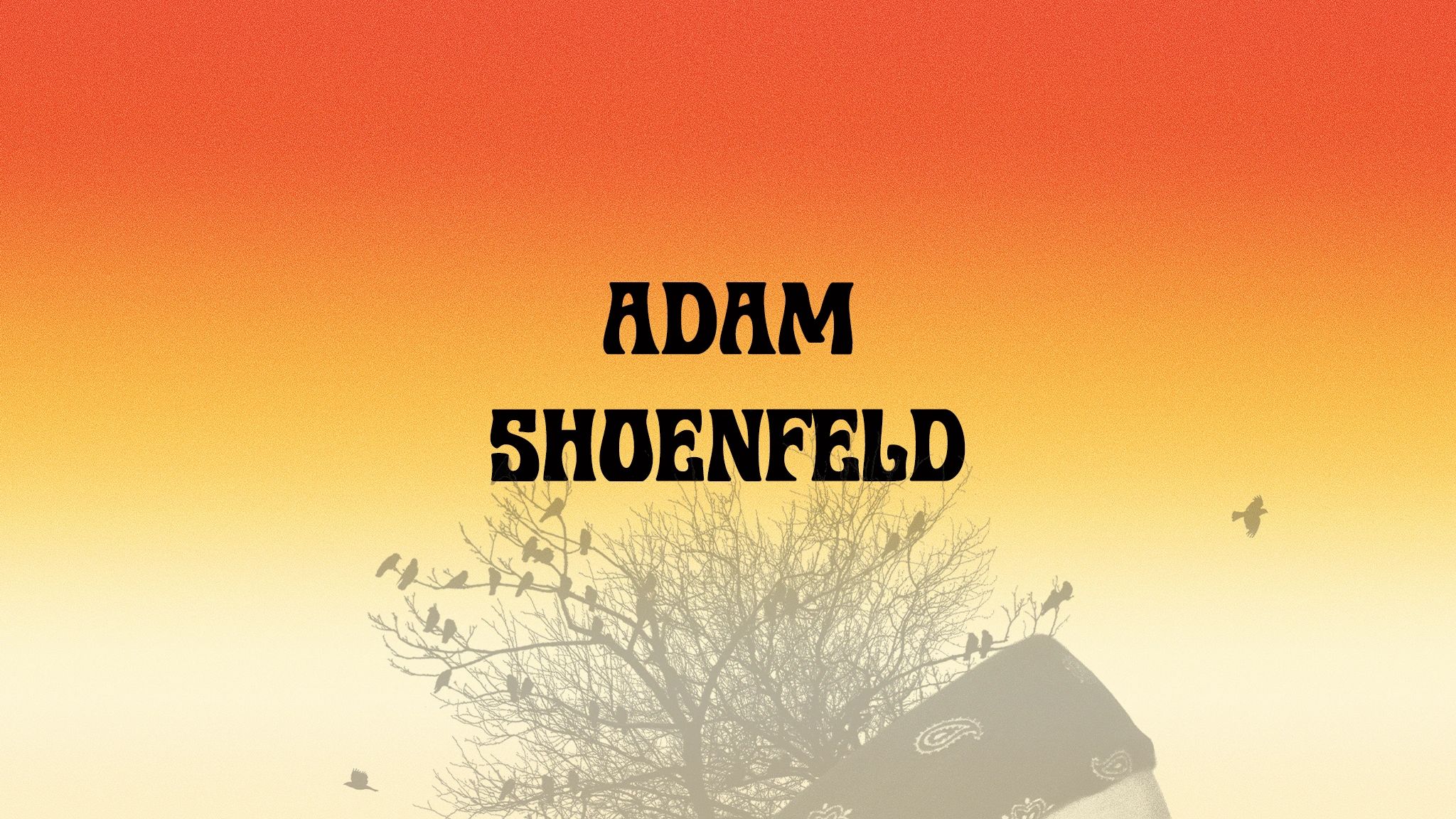 adamshoenfeld.com