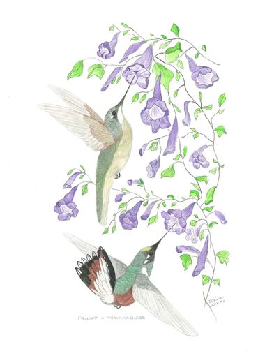image165