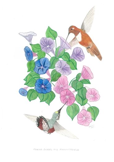 image176