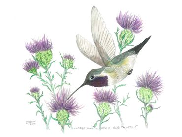 image161