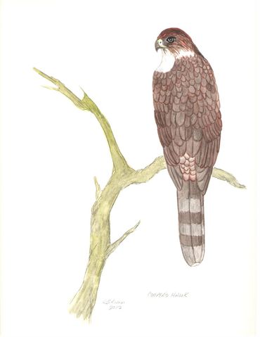 image182