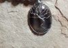 Close up of smoky quartz pendant with wire wrap
