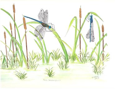 image187