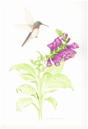image183