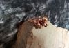 charming simulated pearl ring wrapped in copper wire. any size, many colors. Item #19-2-9. Price $10.00