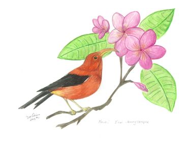 image156