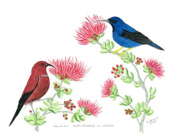 image185