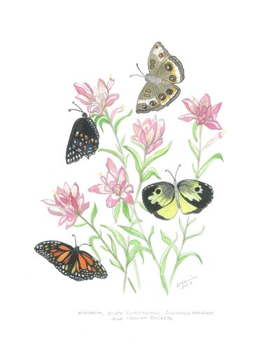 image164