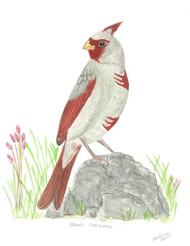 image172
