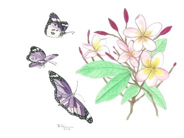 image162