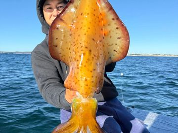 Squid Fishing, Reel Adventure Fishing, Sydney Fishing, Deep Sea Fishing, Fishing Charters