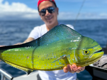 Sports Fishing, Reel Adventure Fishing, Sydney Fishing, Deep Sea Fishing, Fishing Charters, Snapper,