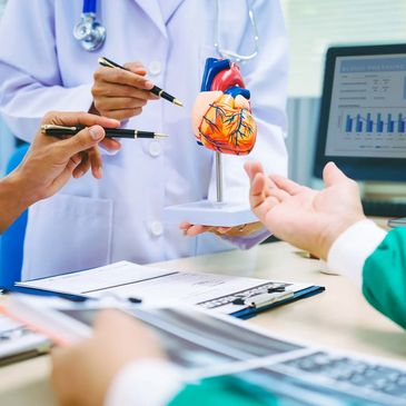 Doctors discussing a heart model during a medical meeting.