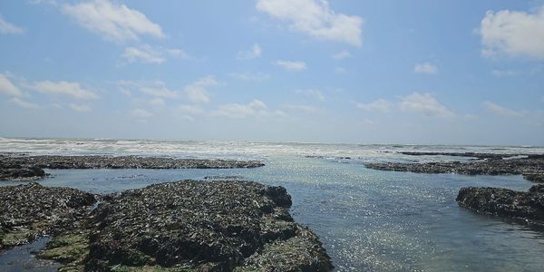 A Summer's Day, Rottingdean.