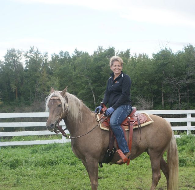 Kentucky Mountain Saddle Horses