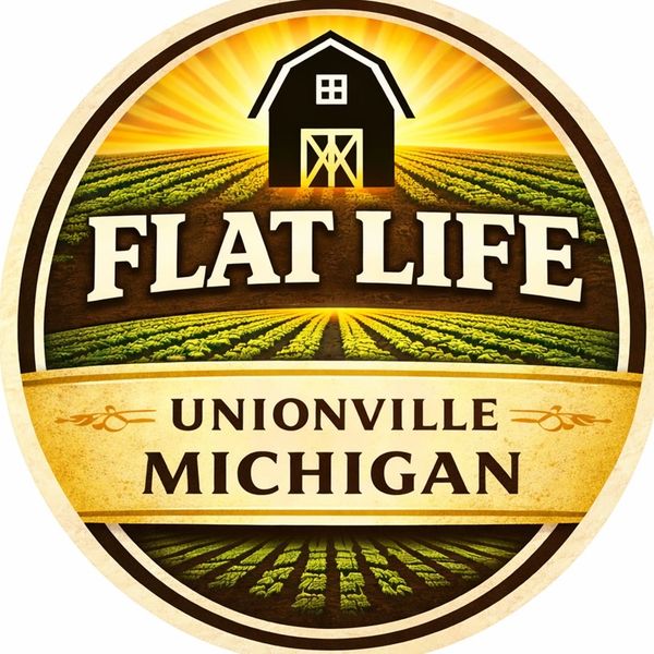 Logo for Flat Life in Unionville, Michigan.