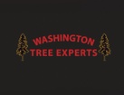 Washington Tree Experts