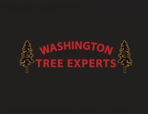 Washington Tree Experts