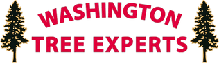 Washington Tree Experts