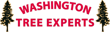 Washington Tree Experts