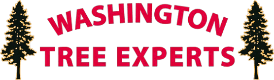 Washington Tree Experts