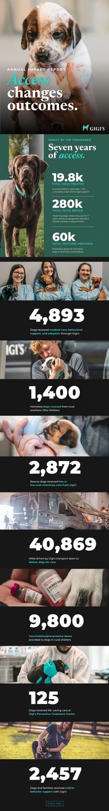 Infographic on Gigi's dog rescue impact over seven years.