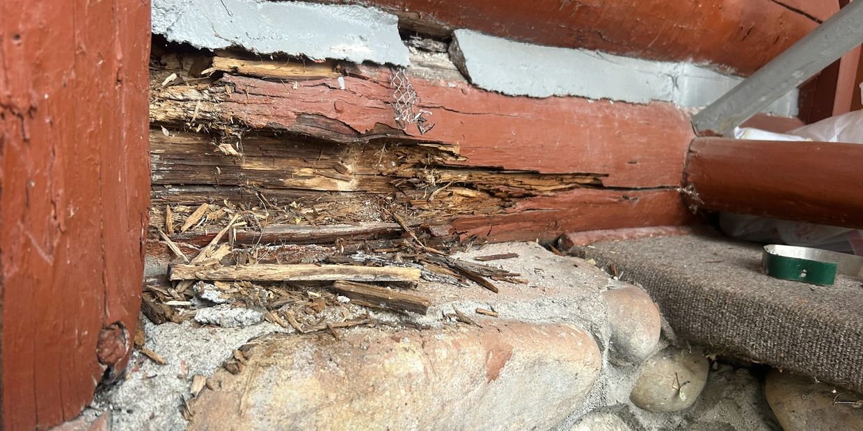 Rotten Logs in Log Home at Fairmont Jasper Park Lodge
