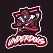 Underdogs Hockey Club