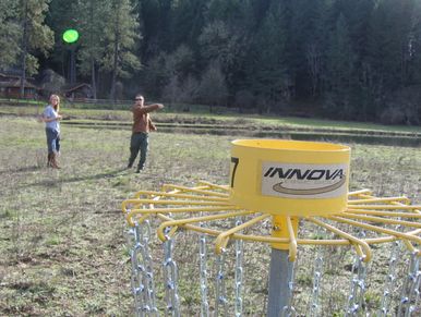 playing disc golf