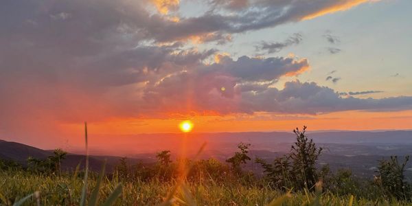 Blue Ridge Parkway, Botetourt, VA
By Noah Shaver