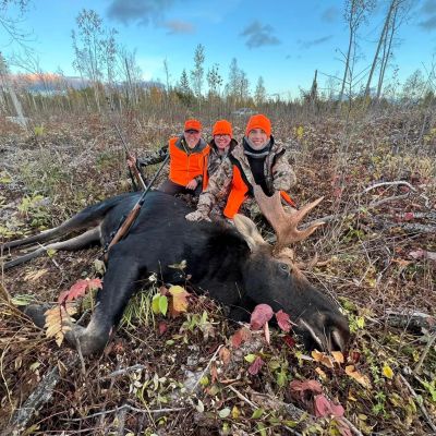 Three hunters posing with a moose they hunted.