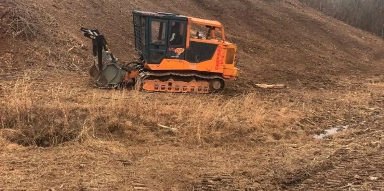 Houston, TX Forestry Mulching
