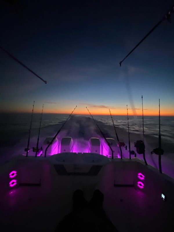 Deep Sea Fishing Charters Grand Isle Fishing