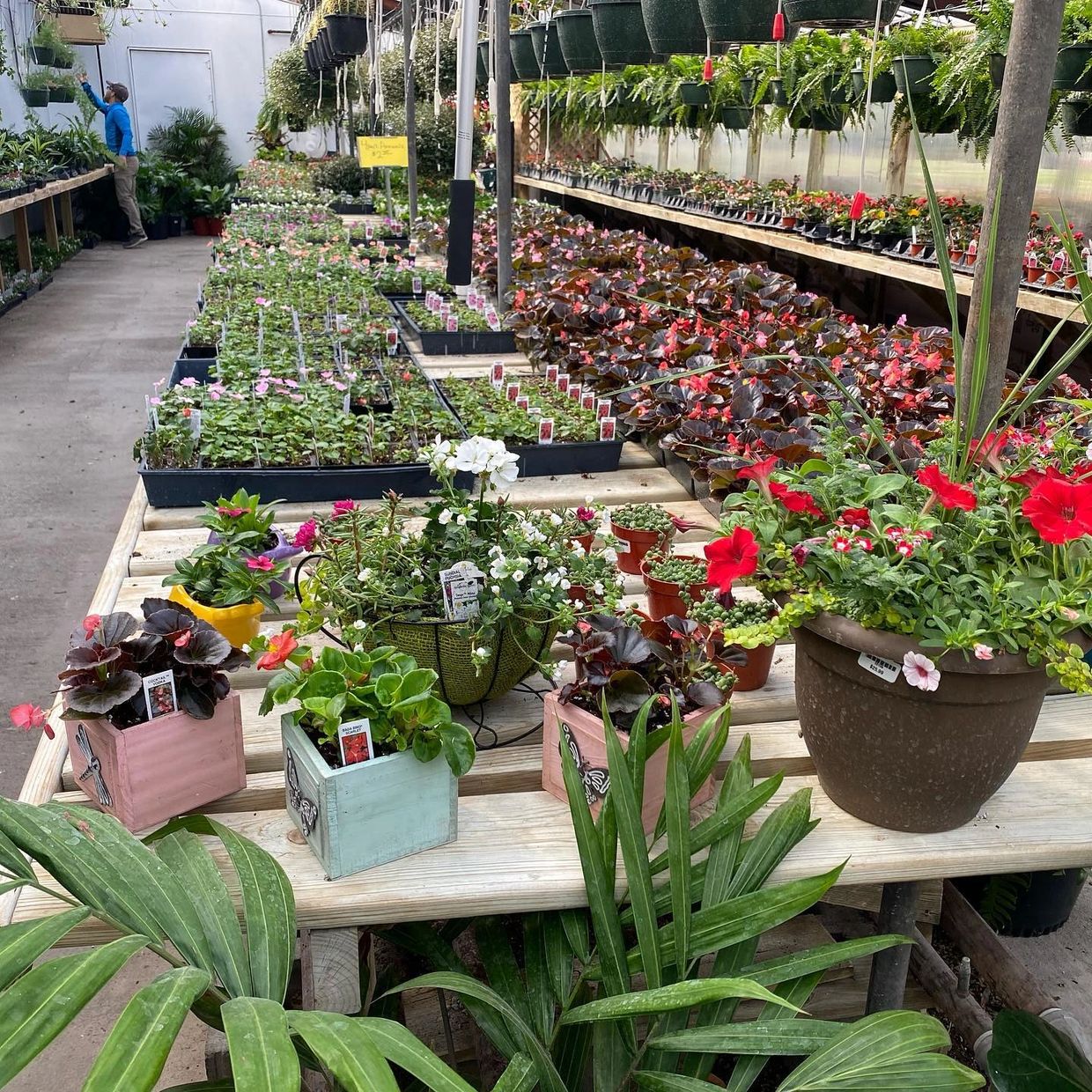 Mother's Day Weekend