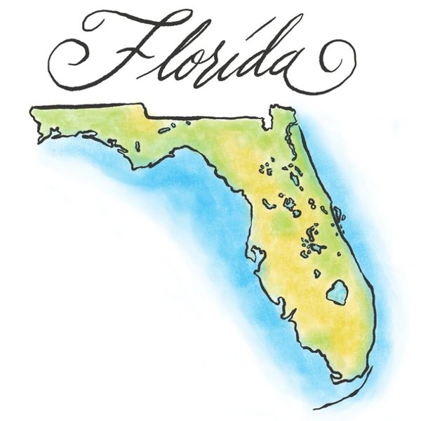 Services offered throughout Florida (watercolor painting of Florida)
