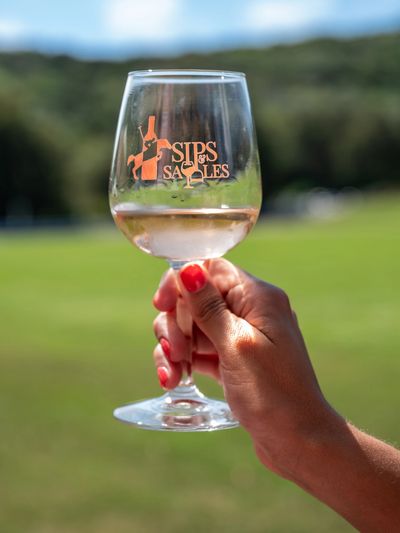 Hand holding a wine glass with a vineyard backdrop.