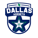 Dallas Hornets North logo