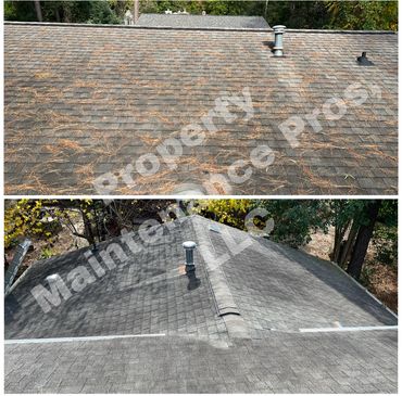 Roof Debris Removal