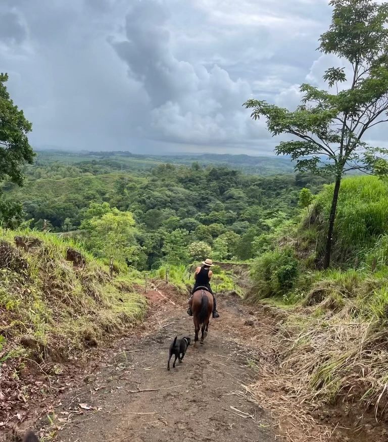 Horses at El Durancho
