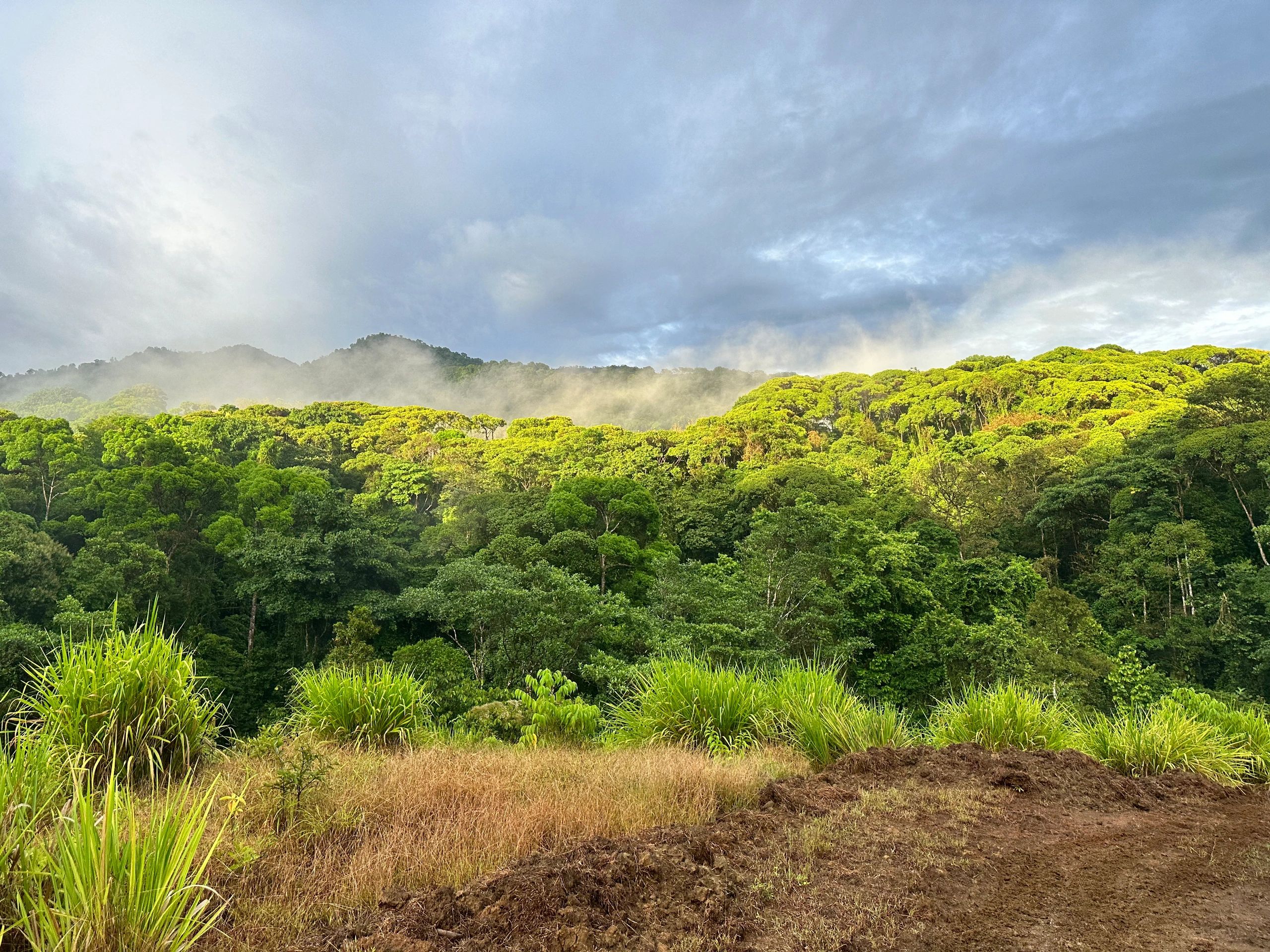 The land at El Durancho