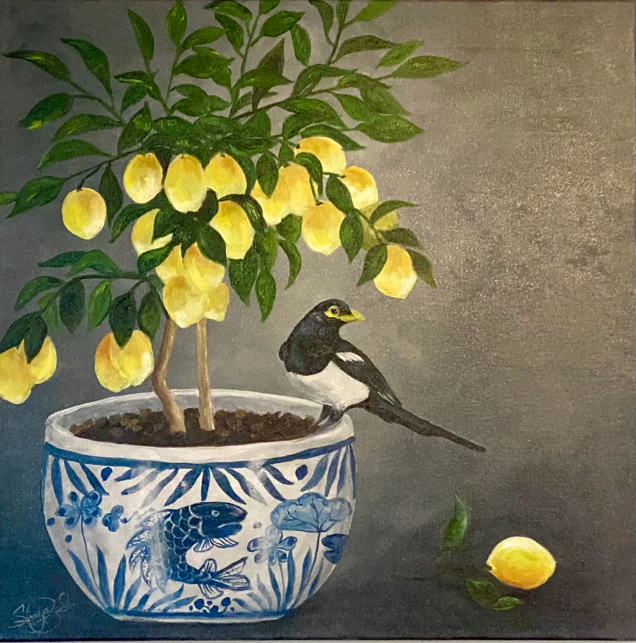 A bird perched on a lemon tree in a decorative blue and white pot.