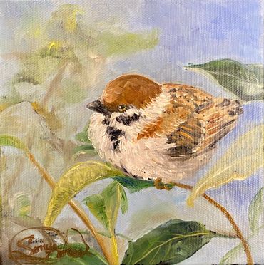 Sparrow in the Bush, 6 x 6 in., oil on canvas