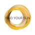 Find Your Sun