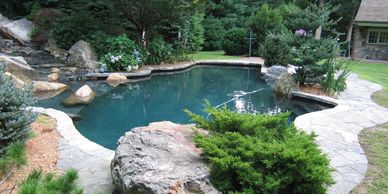 natural freeform swimming pool connecticut new york ct ny westchester hudson gunite biological bio 