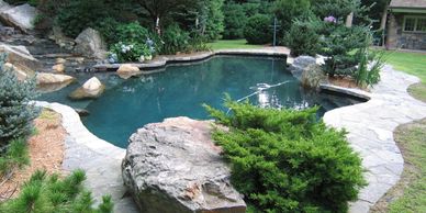 natural freeform swimming pool connecticut new york ct ny westchester hudson gunite biological bio 