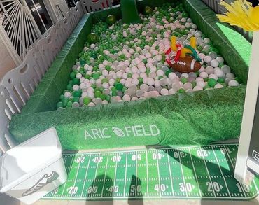 Customized Ball Pit $300