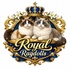 royal ragdolls