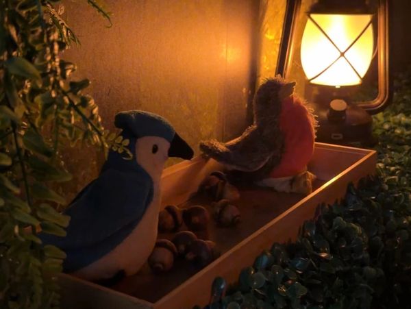 A close up of two birds sitting in a box as part of the Sherwood Forest escape room at No Esc.