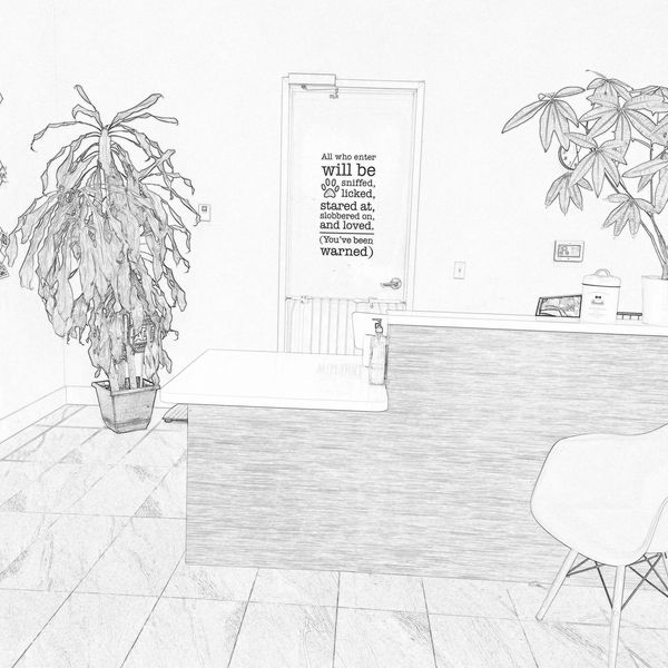 reception sketch