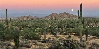 San Tan Valley, AZ